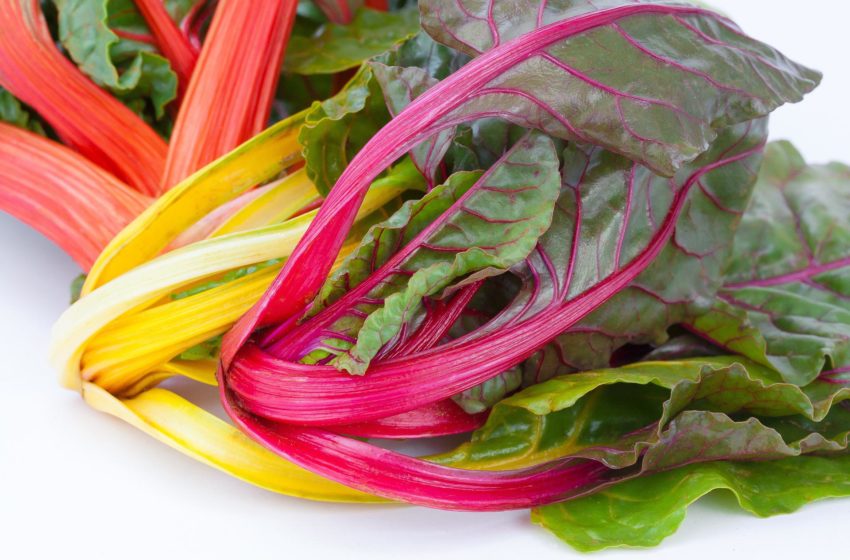  Mangold – farebná a zdravá zelenina do diétneho jedálnička